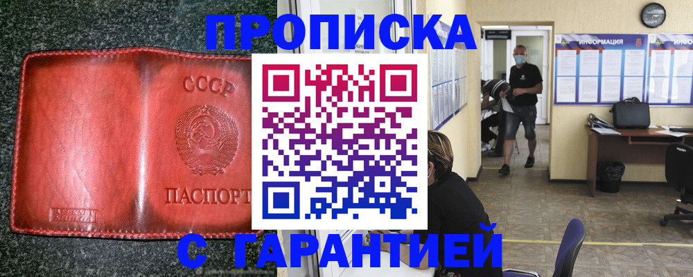 прописка гарантия в Вольске